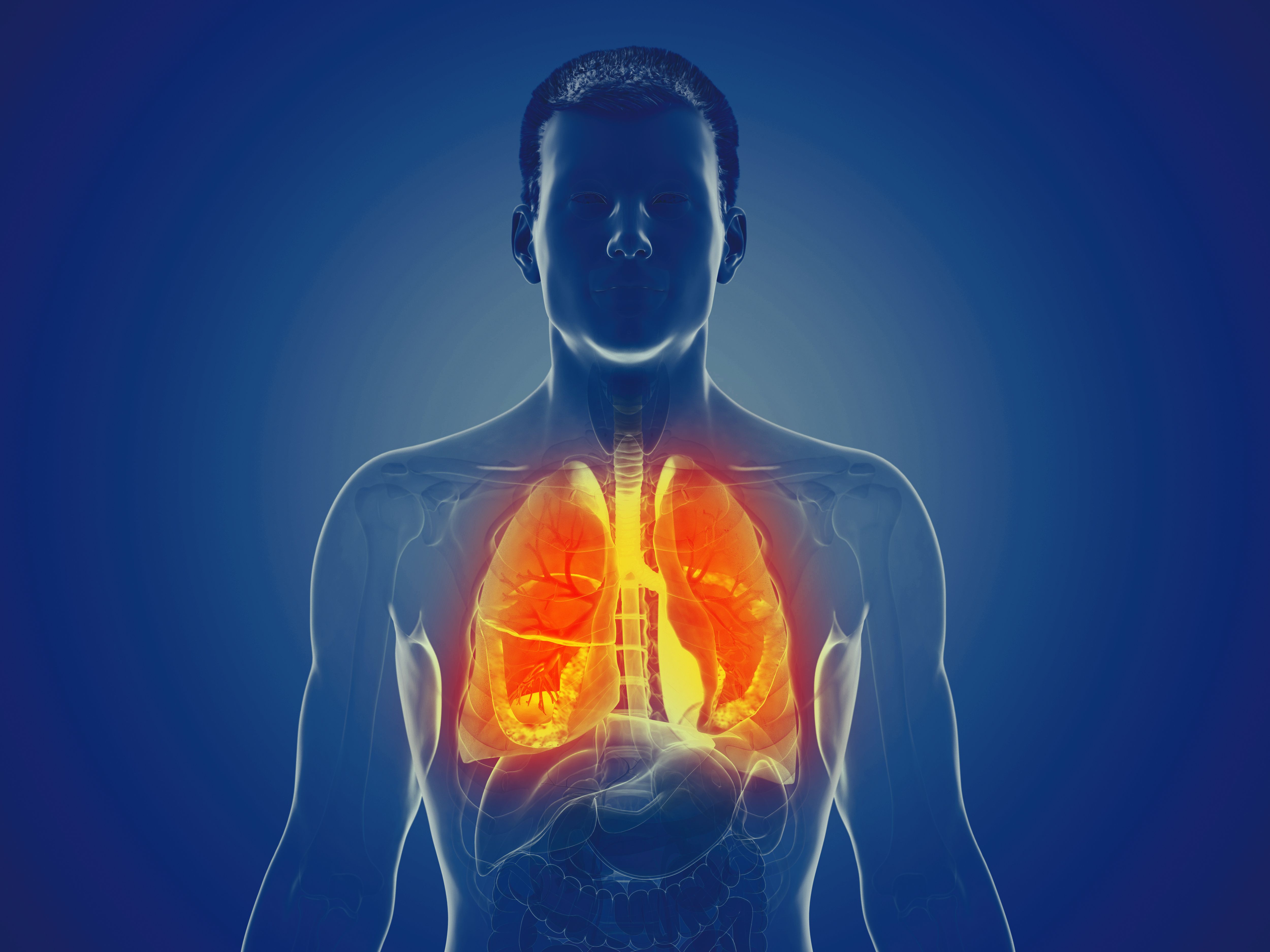 Elevated CC16 Linked to Persistent Lung Fibrosis After Severe COVID-19