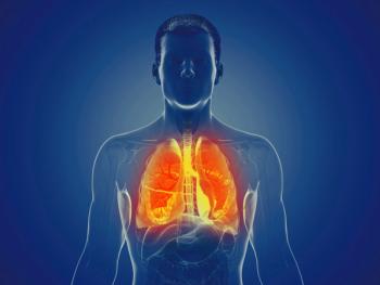 Lungs. | Image credit: @Sebastian Kaulitzki Dimensions_AdobeStock.jpeg