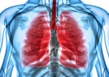 Image of lungs