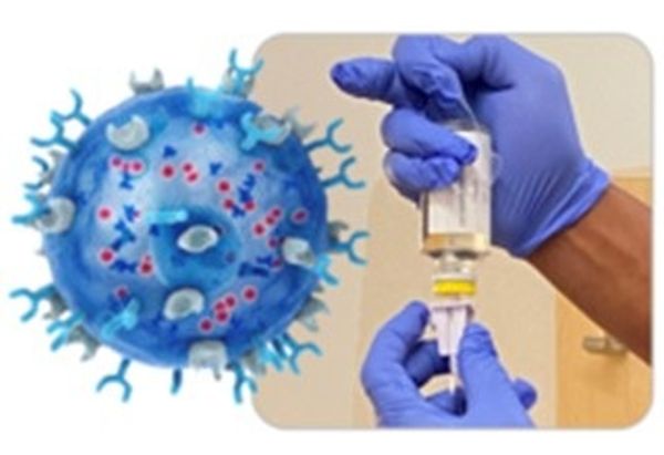 CAR NK Cell Therapy | Image: ImmunityBio