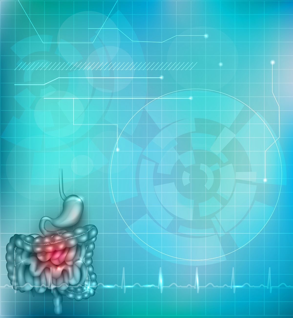 graphic of gastrointestinal system