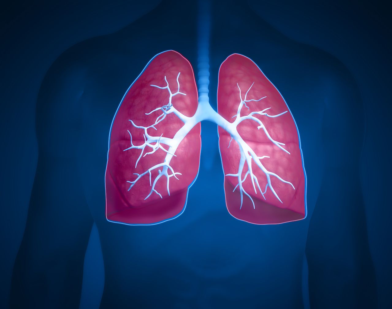 Lung illustration