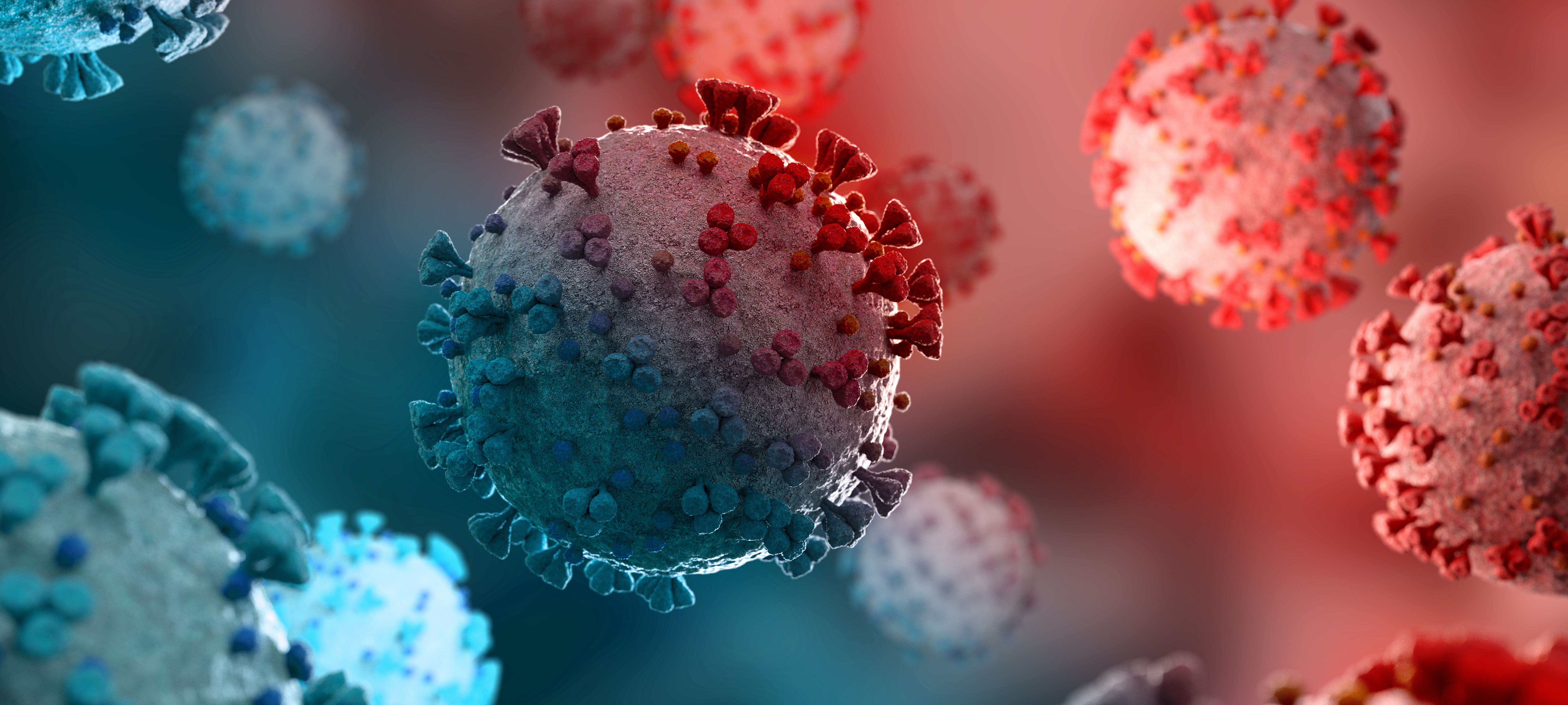 COVID-19 Virus | sdecoret - stock.adobe.com