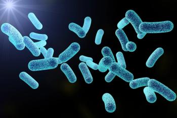 Bacteria
