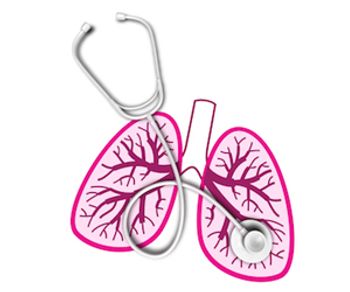 image of lungs