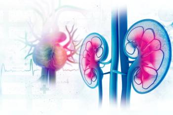 An image of the kidneys and the heart