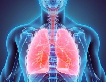 Lungs 