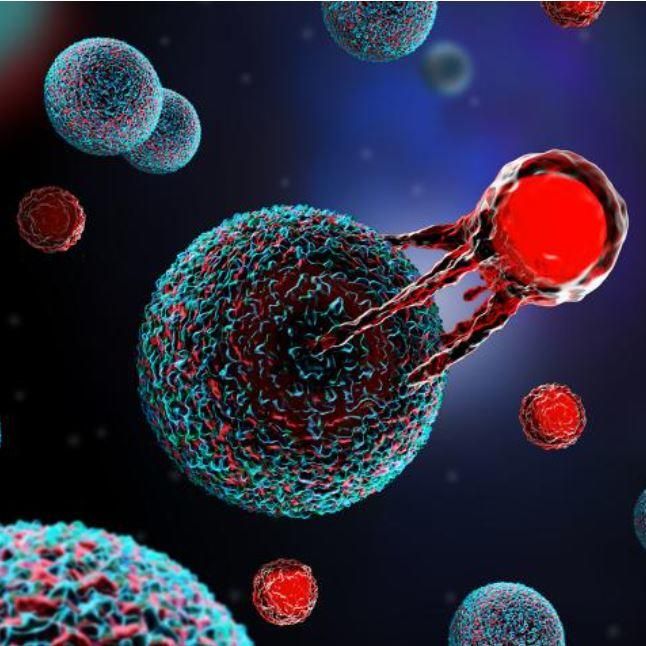 T-cell attacking cancer cell | Image: NCI