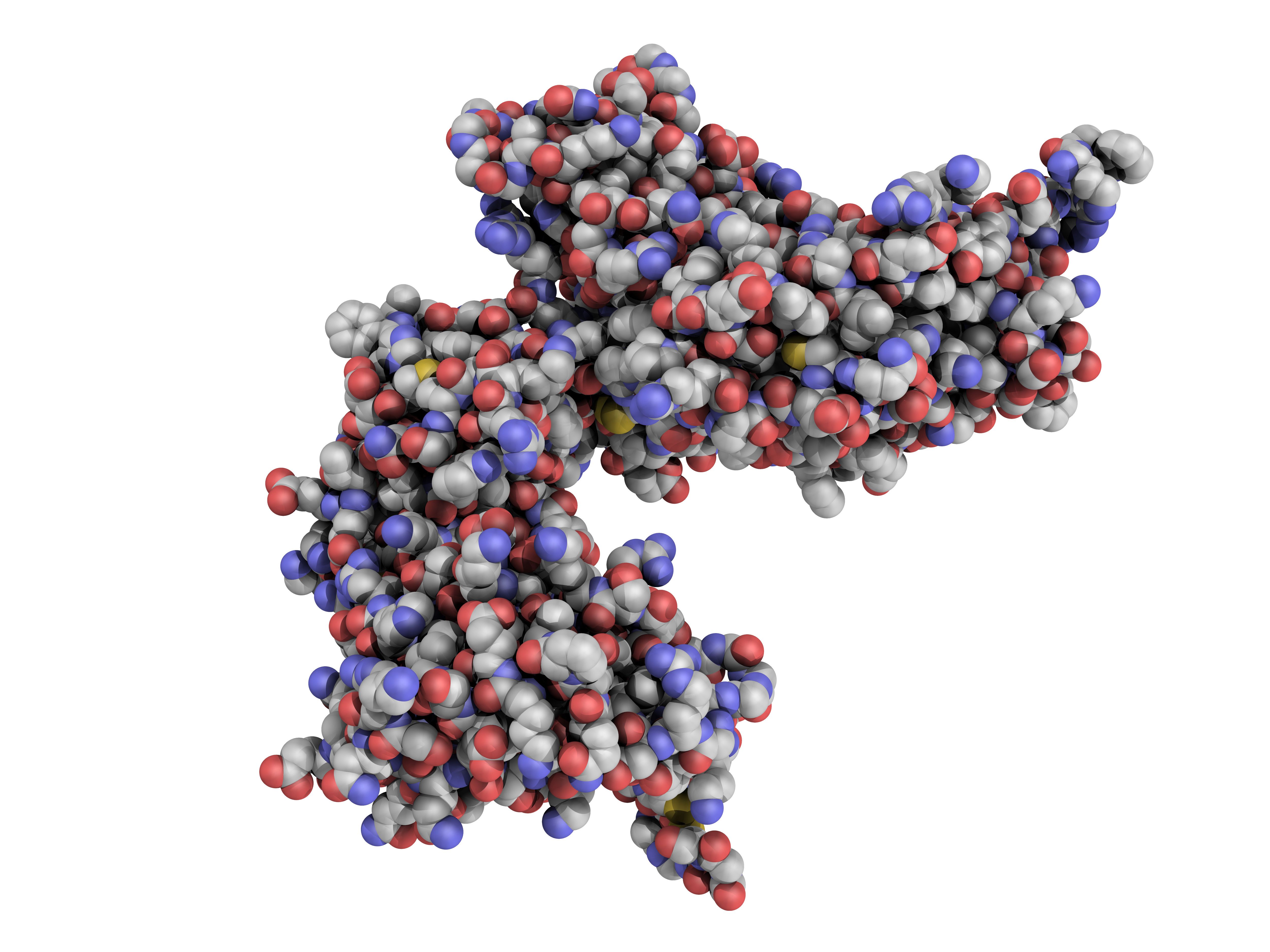 Image of a biomarker