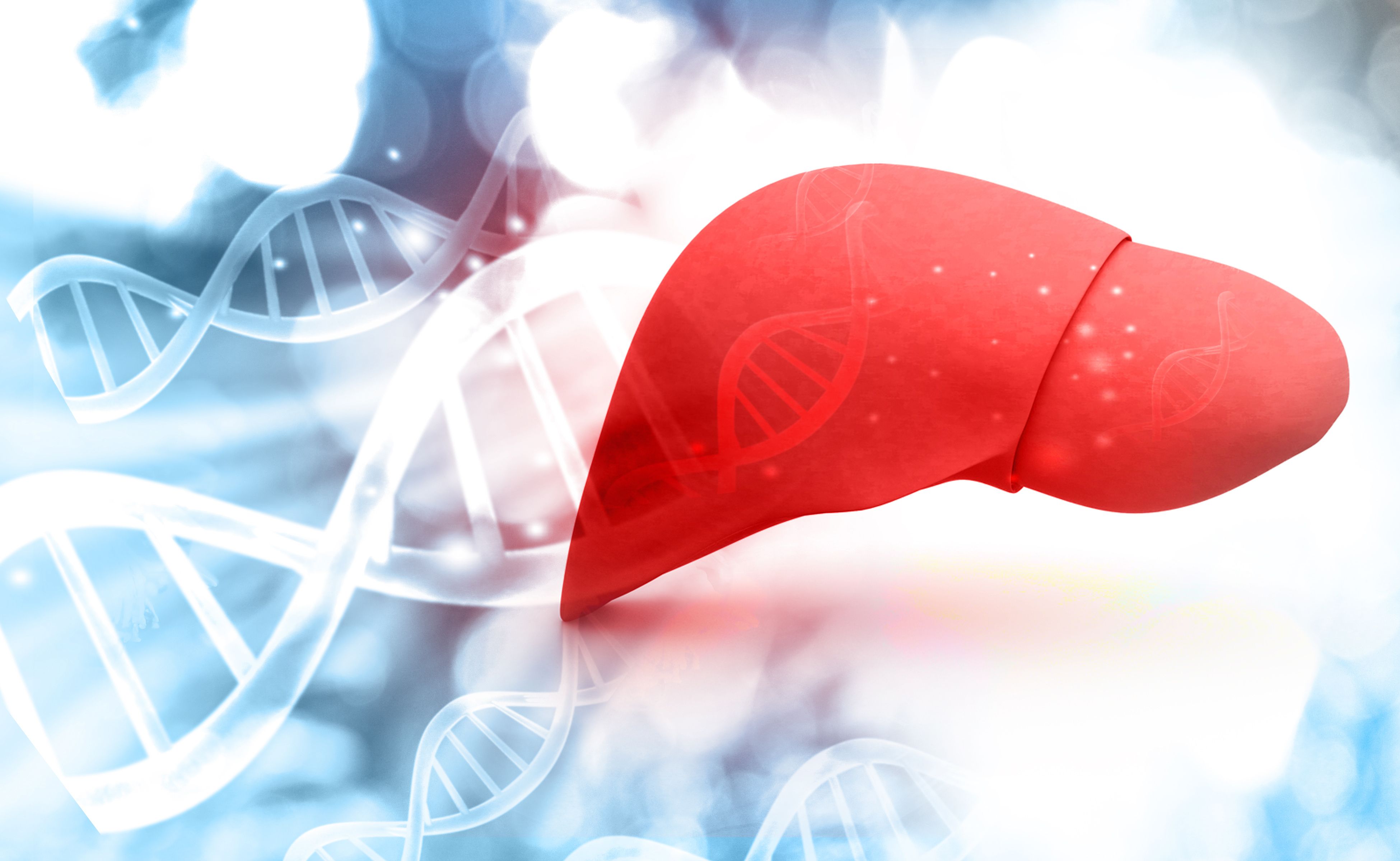 image of a liver with DNA strands