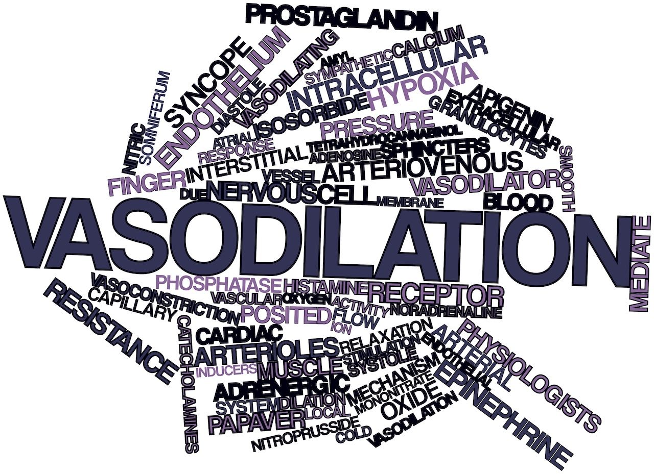 Word cloud for Vasodilation: © intheskies - stock.adobe.com