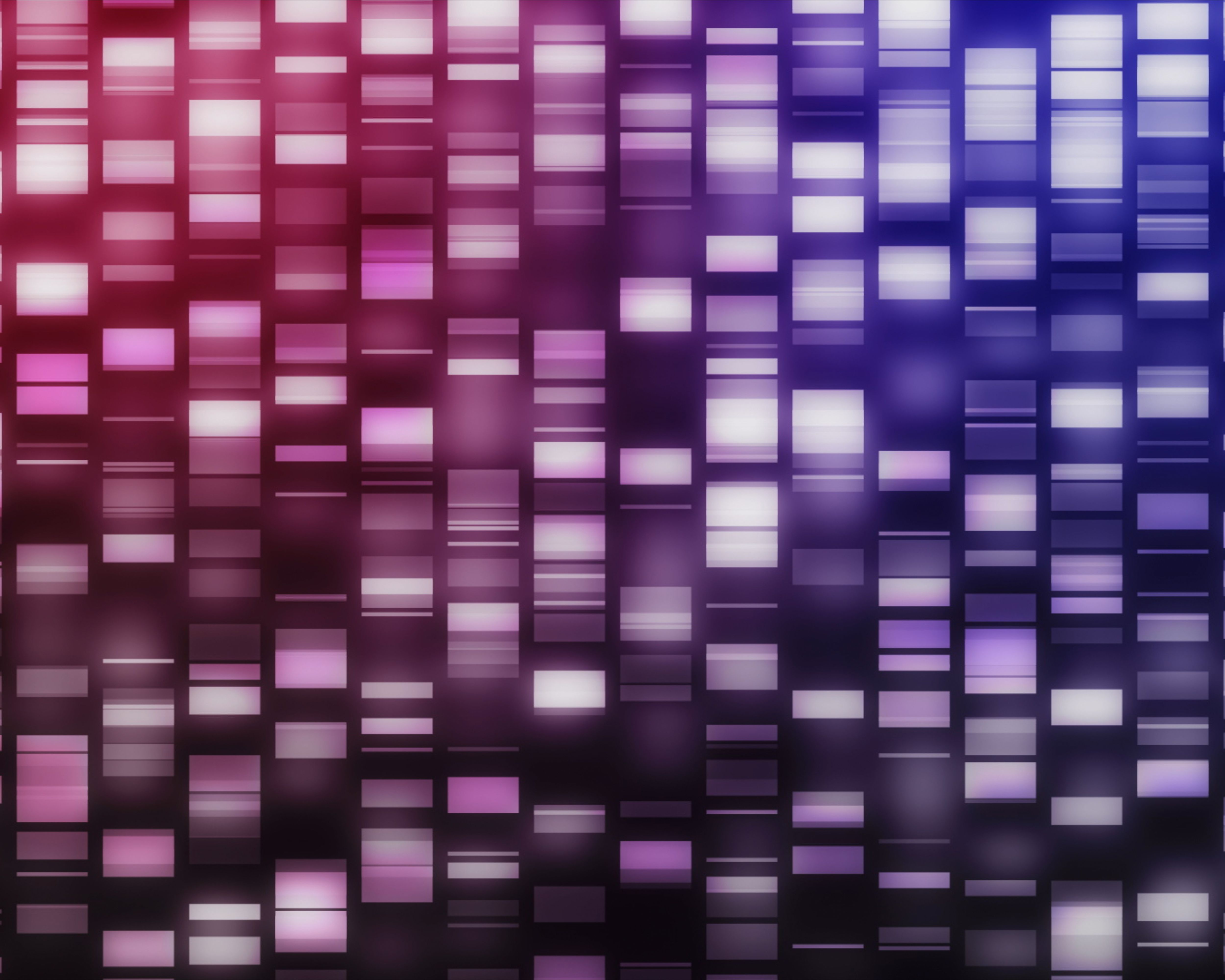 Genetic Picture Emerges of Polycystic Kidney Disease in Ireland 