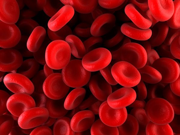 Red blood cells | Image credit: Getty Images