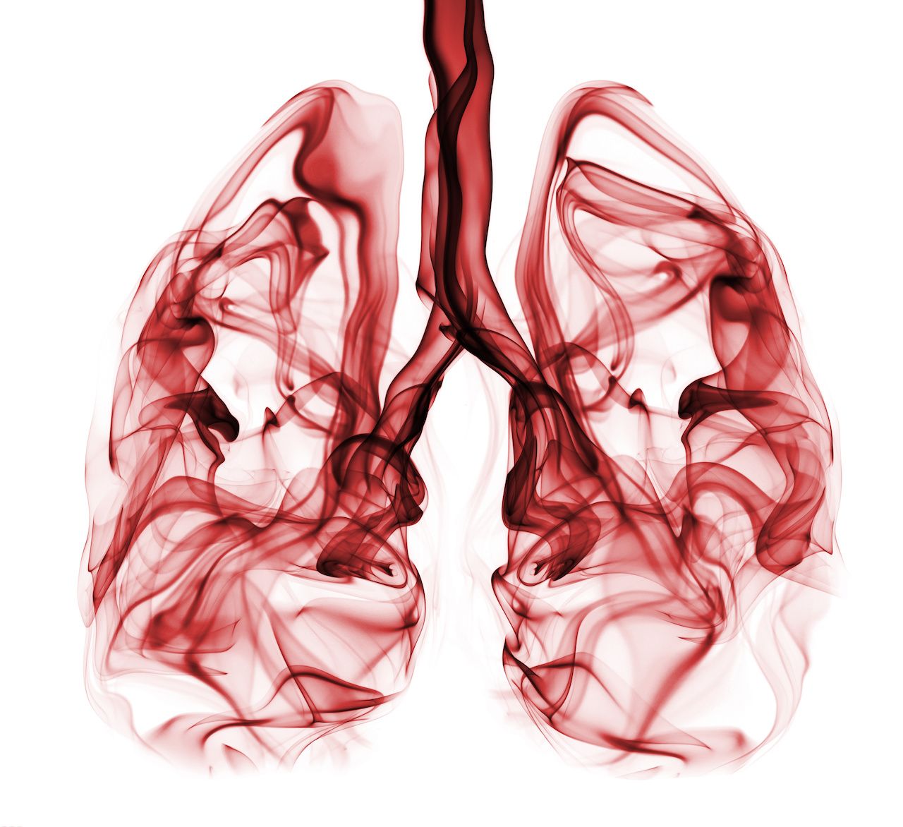 Lungs.