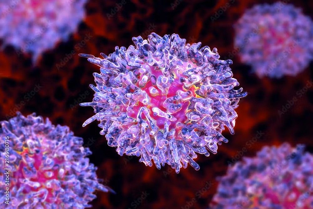 chronic lymphocytic leukemia | Image: © Dr_Microbe - stock.adobe.com