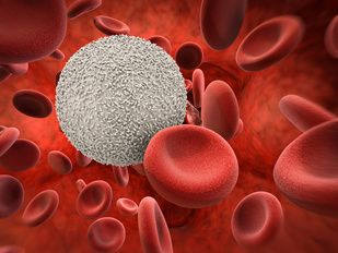 Neutropenia Etiology Influences Resulting Hematologic Consequences