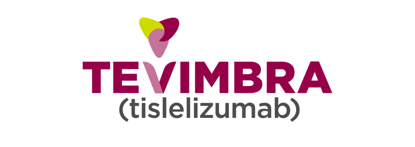 Tevimbra branding | Image credit: BeiGene