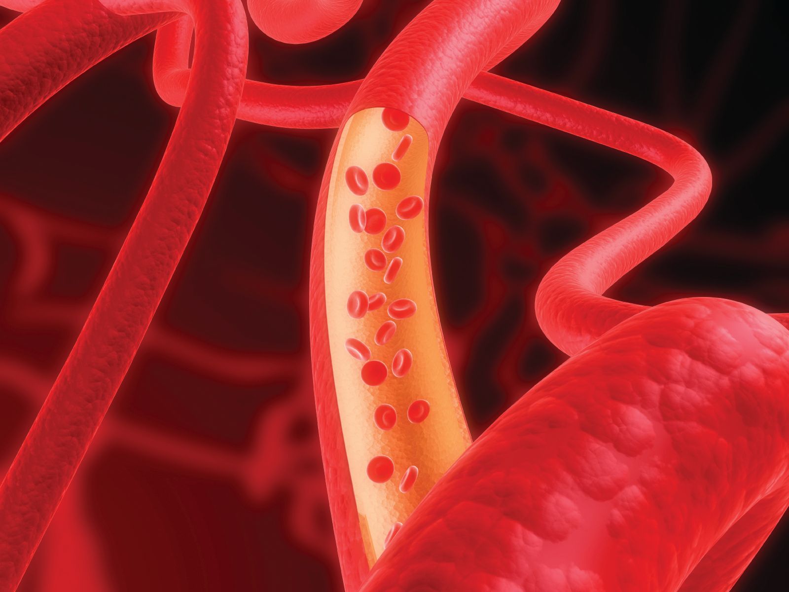 graphic of arteries