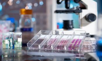 Histological analysis | Image Credit: tilialucida-stock.adobe.com
