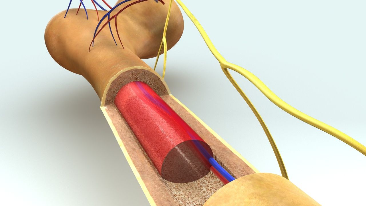 Study Examines NGS-Based Test in Real-World Clinical Setting for MM, B-ALL