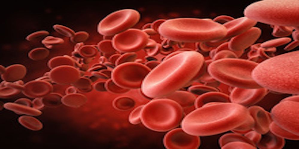 Image of red blood cells