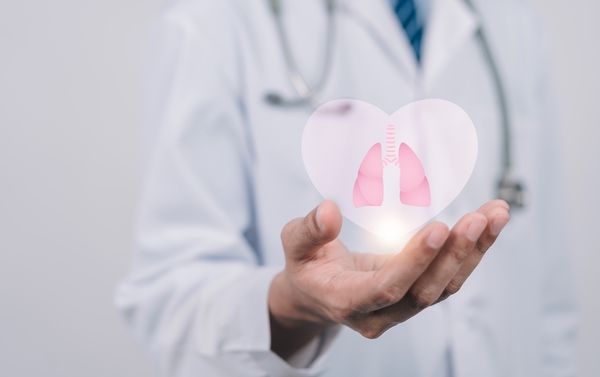 Lungs and heart graphic held in doctor's hand | Image credit: Kiattisak - stock.adobe.com