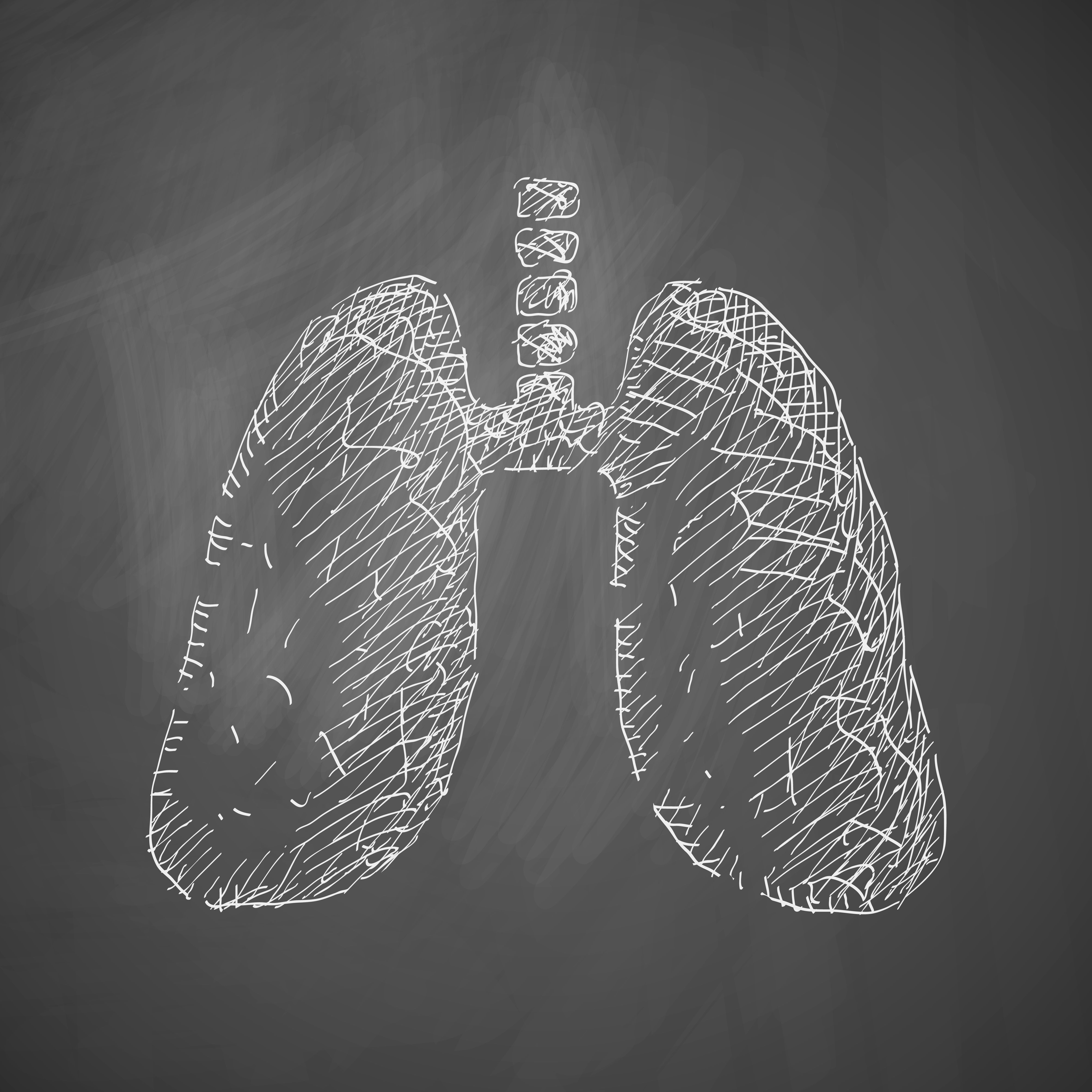 Lungs