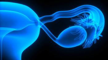 female reproductive system | Image credit: magicmine – stock.adobe.com