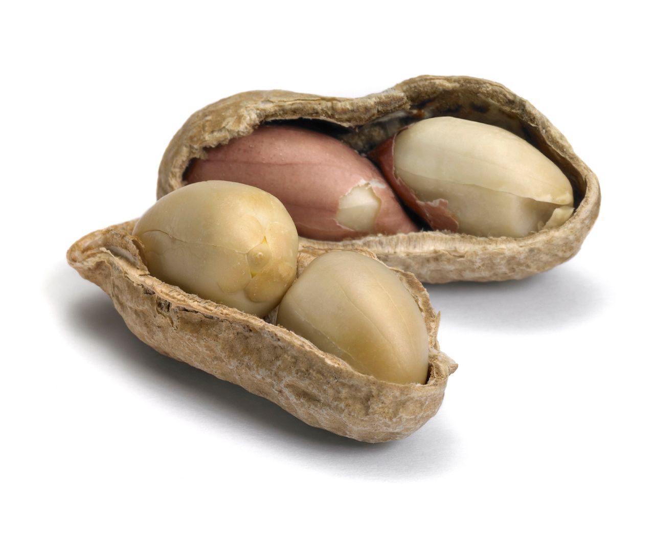 Peanut OIT Study Gives Insights Into the Few Patients Who Might Benefit From Therapy