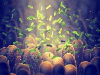 Gut microbiota. | Image Credit: nobeastsofierce - stock.adobe.com