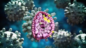 Structural detail of Hepatitis B virus on blue-green background. 3D illustration | Image credit: Destina - stock.adobe.com