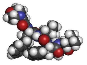 Carfilzomib molecule