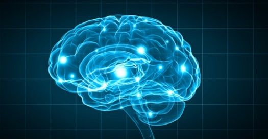 Concussion Associated With Greater Risk of Parkinson Disease, Dementia