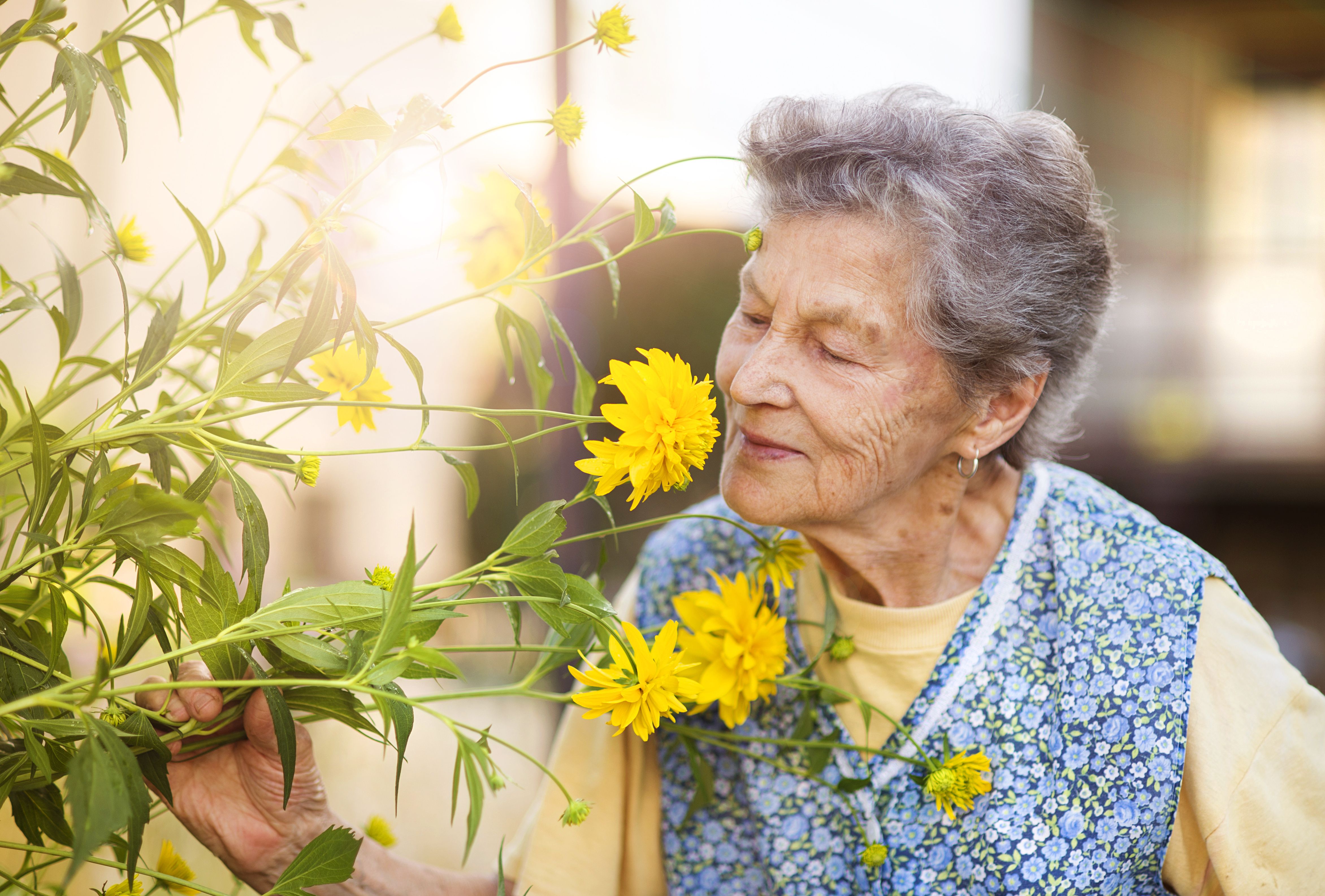 Older woman smelling flowers | Image credit: Halfpoint – stock.adobe.com