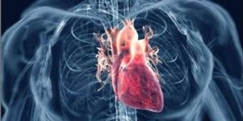 image of a heart