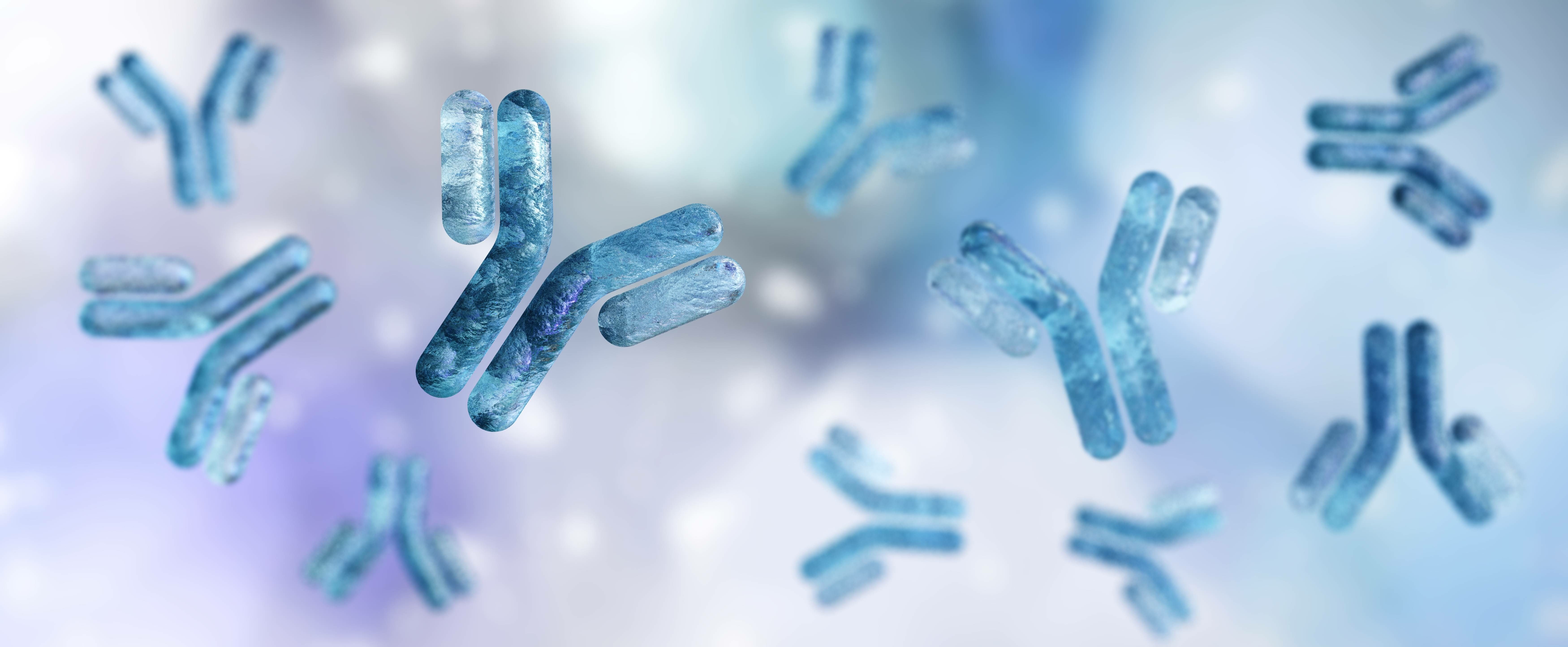 Antibodies | Image credit: ustas - stock.adobe.com