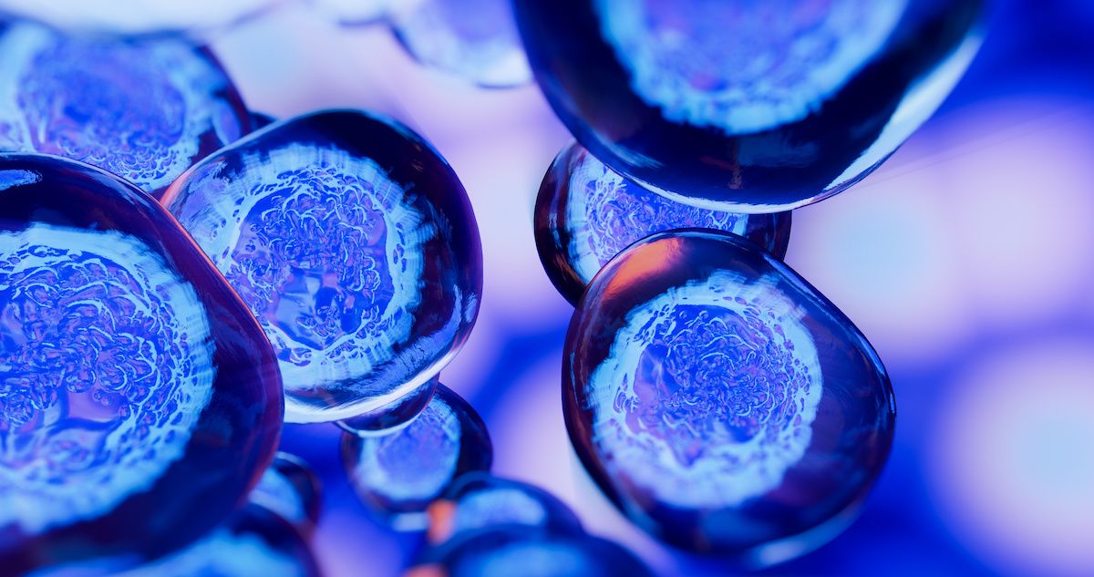 stem cells for IBD | Image credit: pinkeyes - stock.adobe.com
