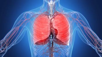 Inflamed lungs | Image credit: SciePro - stock.adobe.com