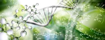 DNA strand 