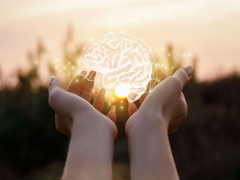 Female hand shows the brain - natali_mis - stock.adobe.com