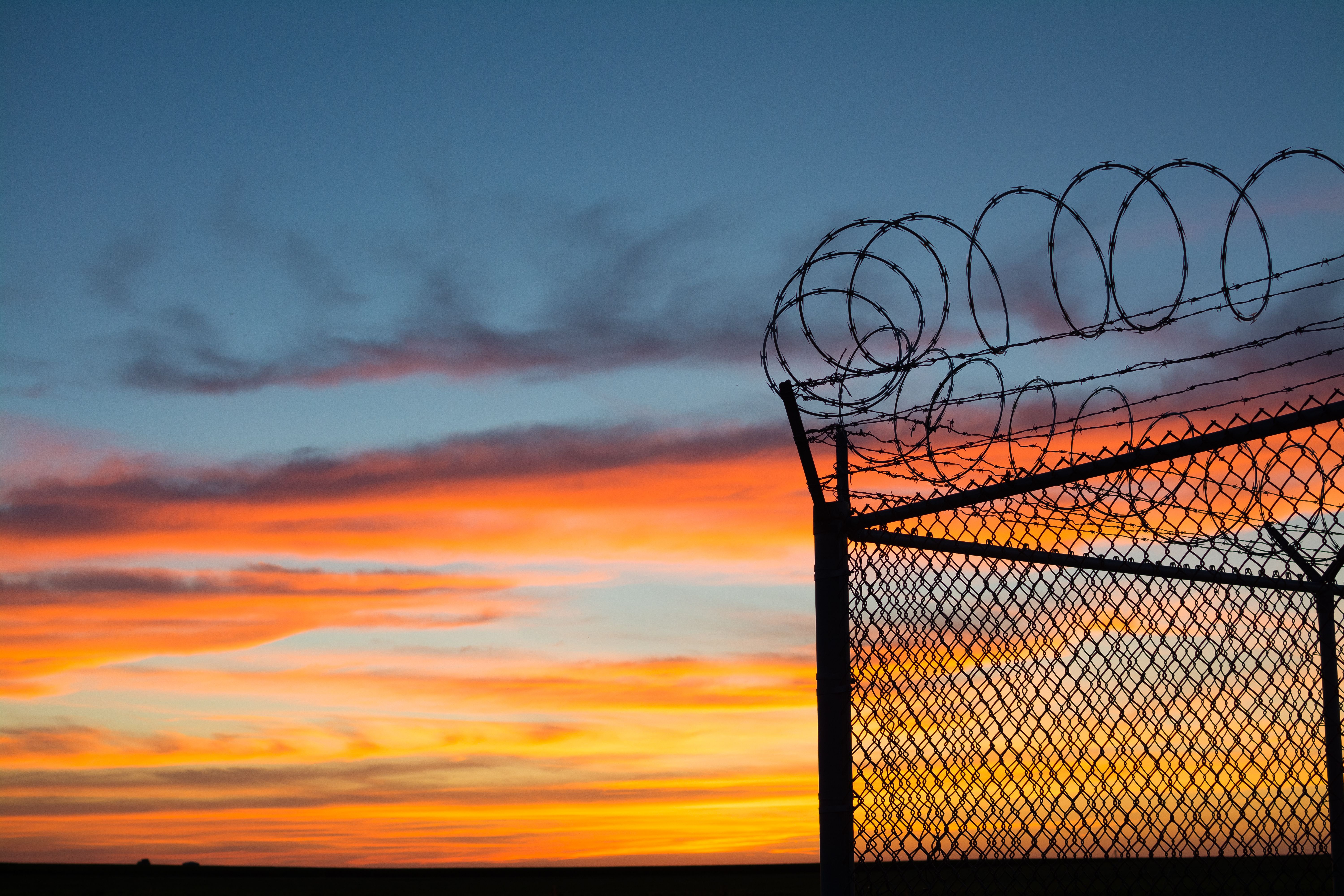 Barbed wire fence | Image credit: EJRodriquez - stock.adobe.com