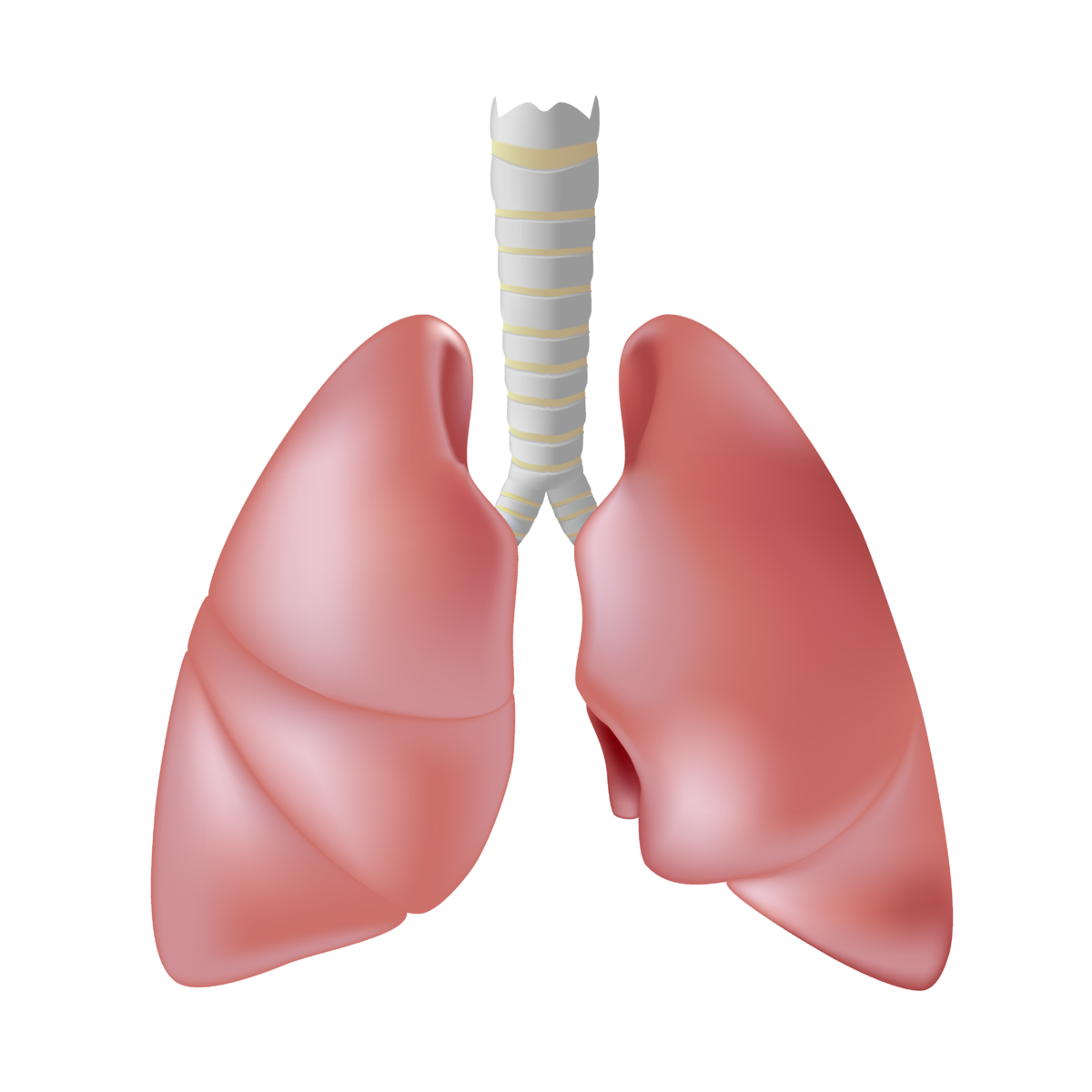 Review Evaluates Pharmacological Treatments for Rare Neoplastic Disease