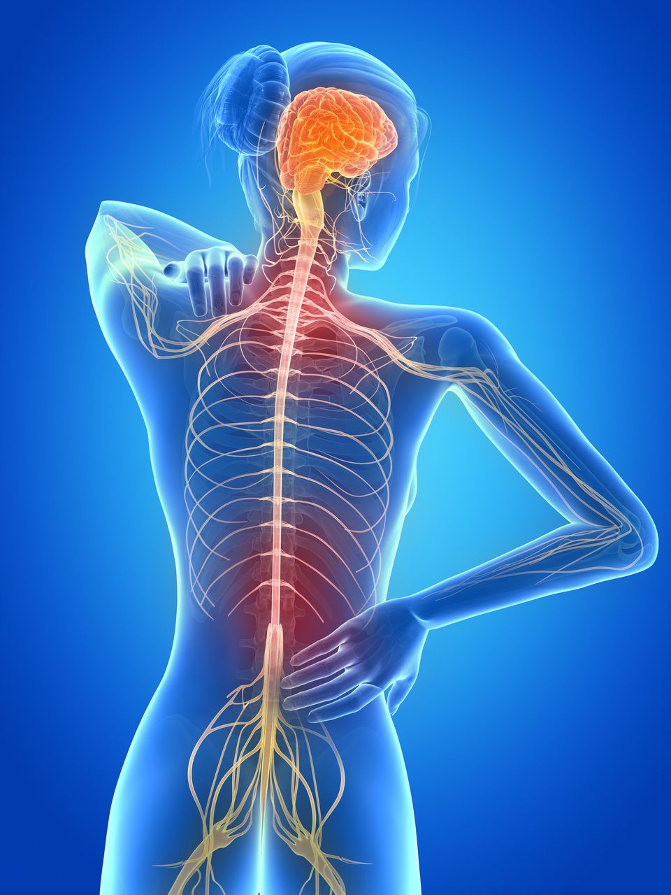 Determining If Patient Attitudes Impact Adherence in Different Groups of Patients With MS