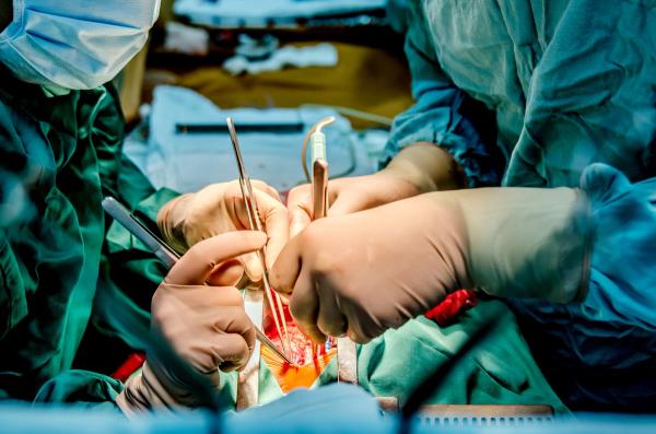 Heart Surgery | Image credit: daria_serdtseva - stock.adobe.com