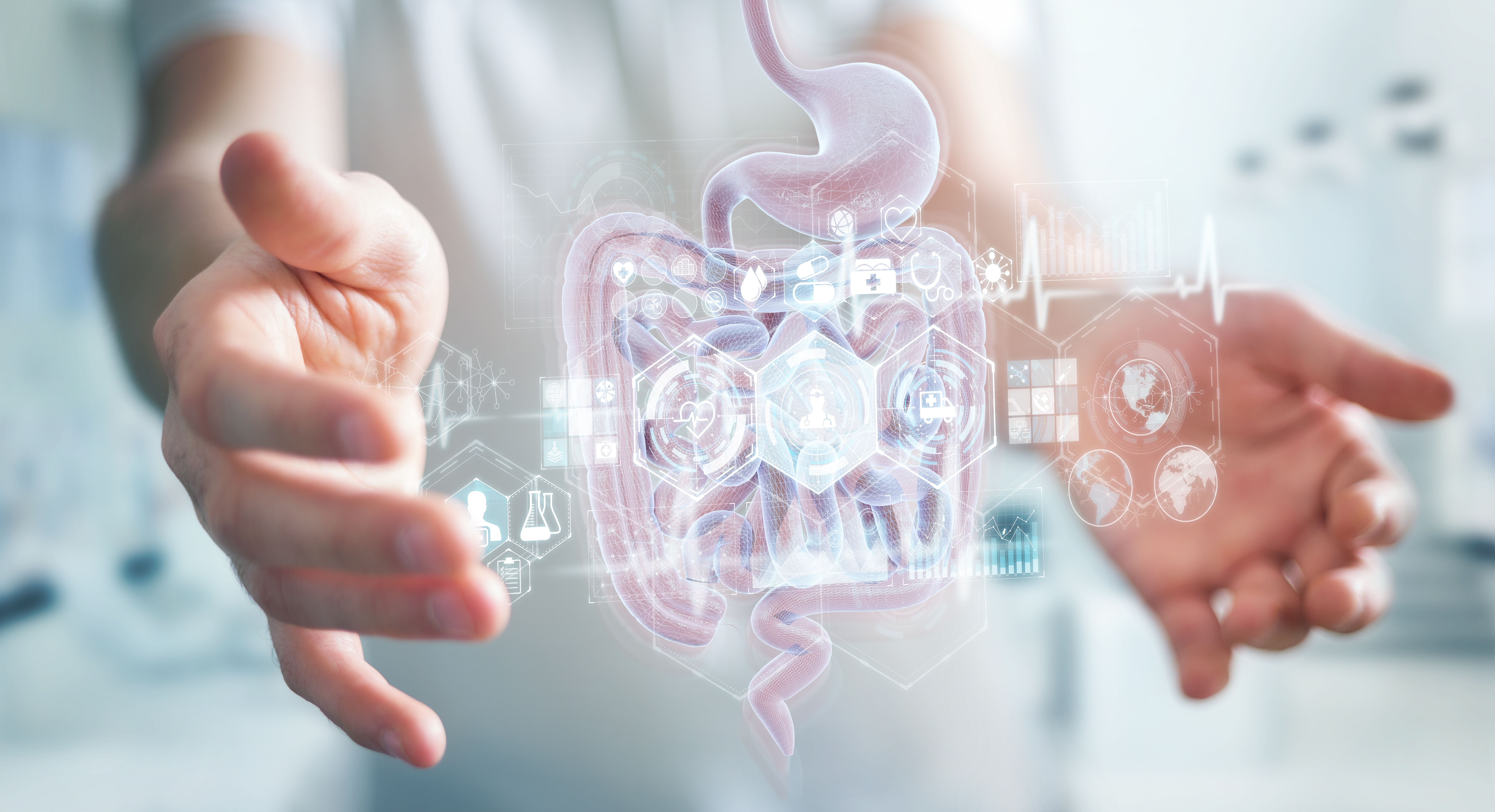 ulcerative colitis | Image credit: sdecoret - stock.adobe.com