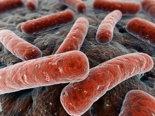 Probiotics May Benefit Patients With Parkinson Disease