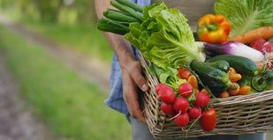 A Diet Rich in Fruit and Vegetables Could Help Improve Multiple Sclerosis Fatigue