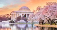DC Skyline | Image Credit: © f11photo-stock.adobe.com