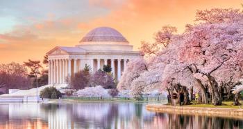 DC Skyline | Image Credit: © f11photo-stock.adobe.com