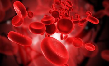 blood cancer | Image: AdobeStock